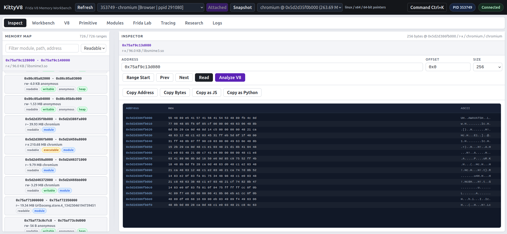 KittyV8 debugger and memory workbench